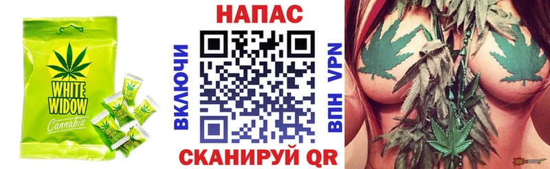 Canna-Cookies марихуана  ссылка на мегу зеркало  Лесозаводск 