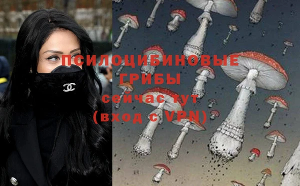 ГАЛЛЮЦИНОГЕННЫЕ ГРИБЫ Абдулино