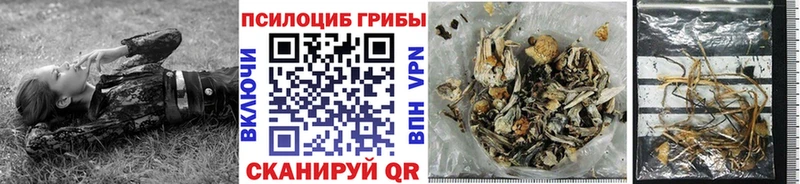 дарнет шоп  Лесозаводск  Псилоцибиновые грибы мухоморы 